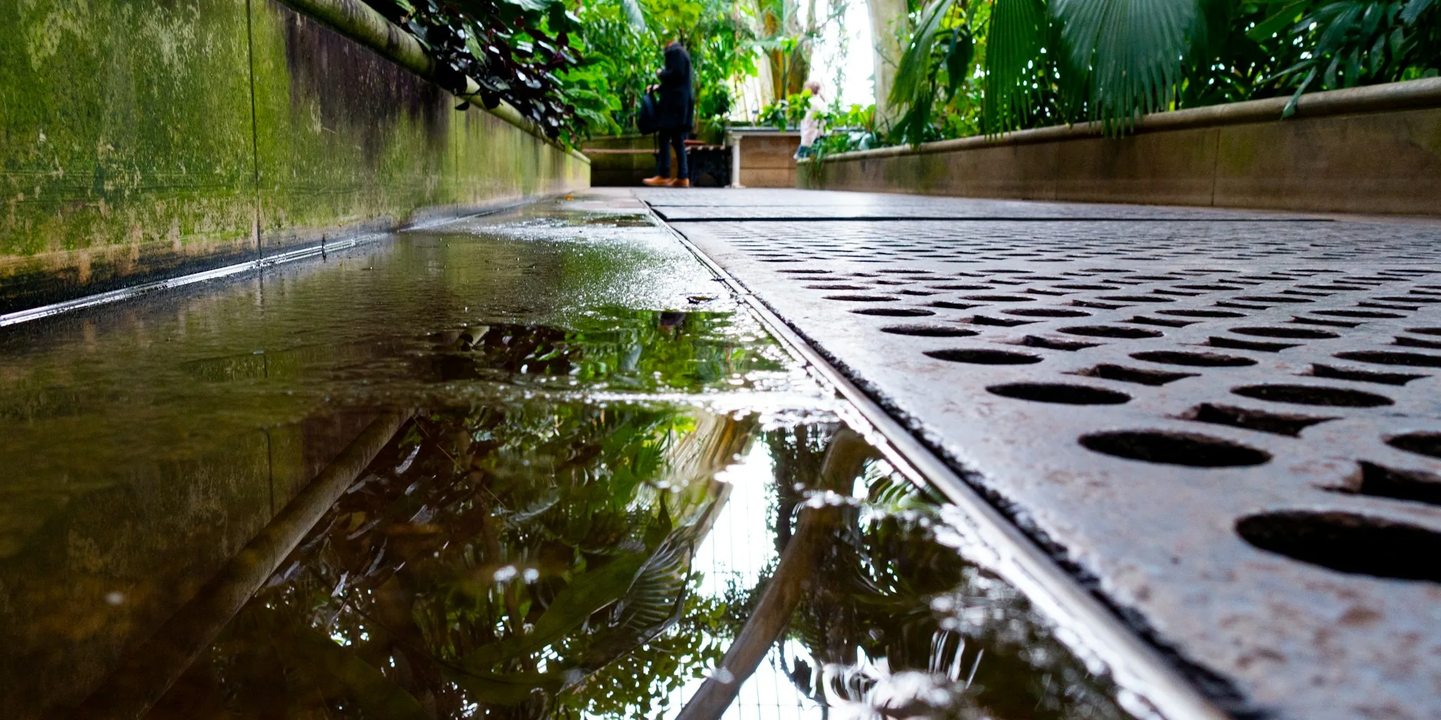 Water Smart Garden Design Trends for 2026