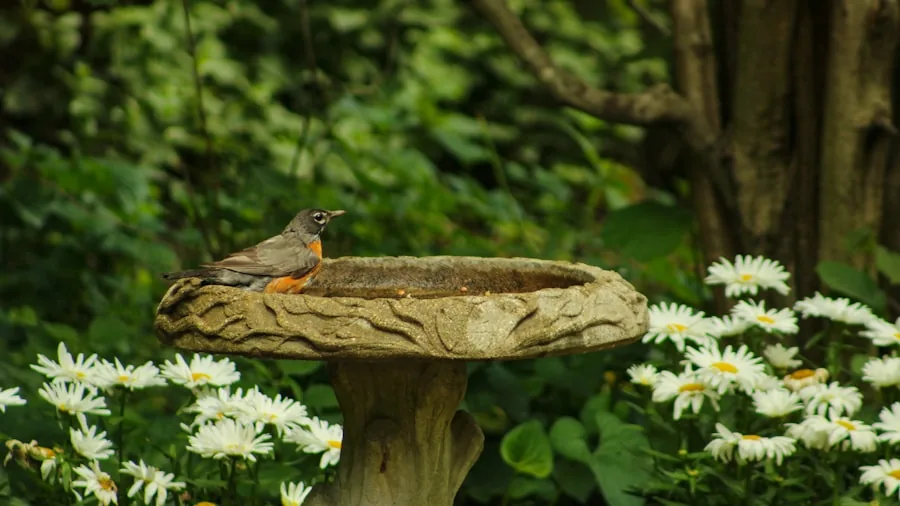 Weathered bird bath in a lush garden setting with birds visiting during daytime