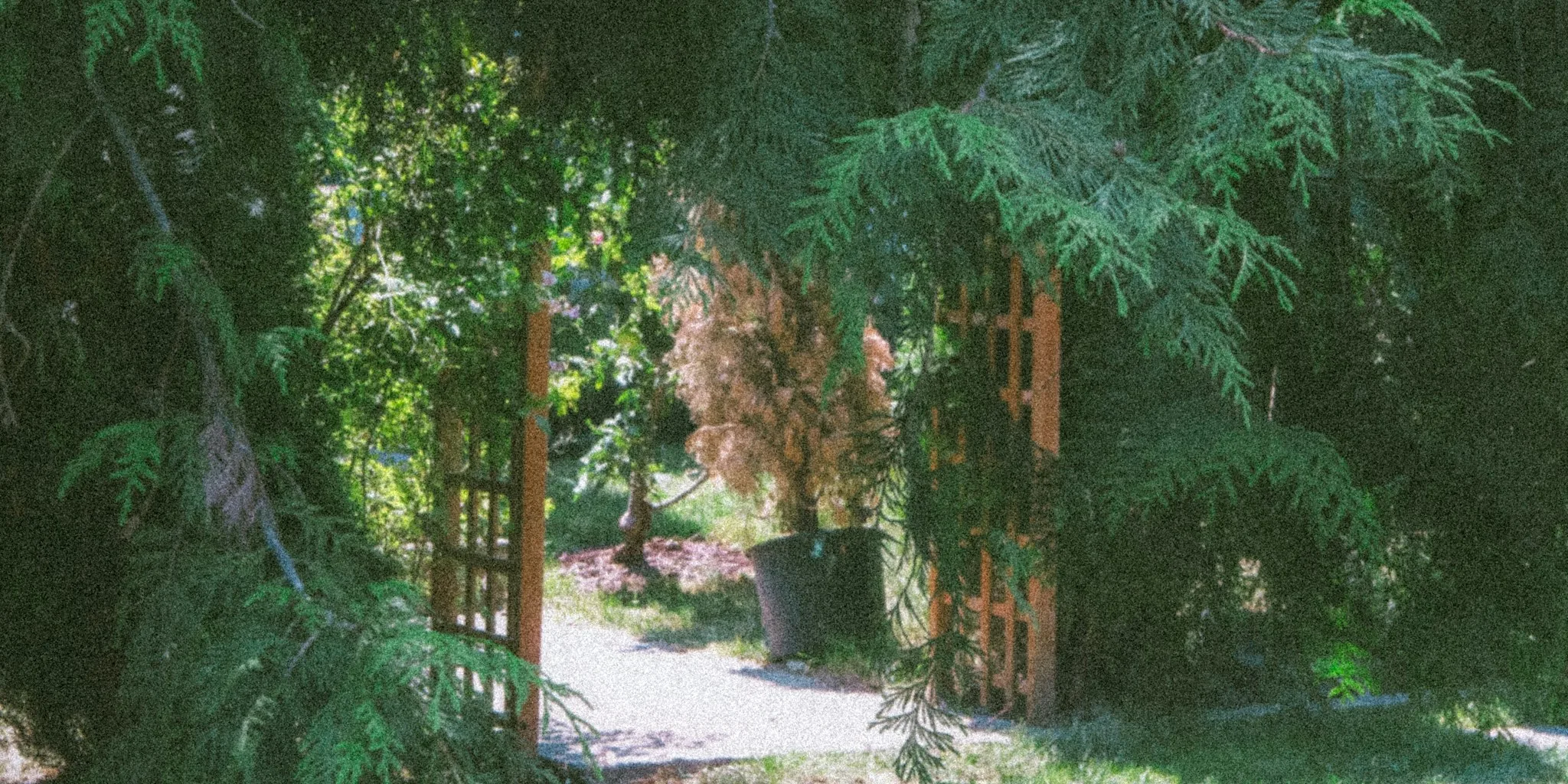 7 Tips for a Welcoming Garden Entrance