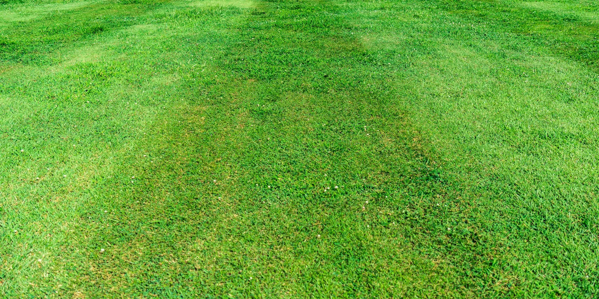 7 Smart Lawn Mowing Tips