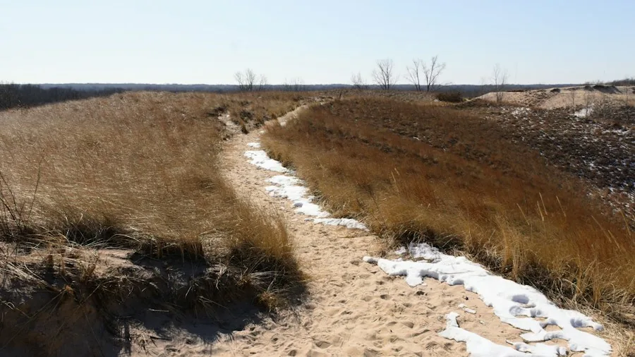 winter erosion bare soil