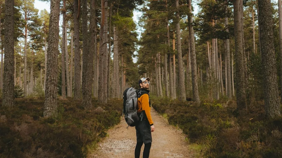 The %product_count% Best Hiking Pants for Women 2 Woman hiker on rocky mountain trail wearing durable hiking pants