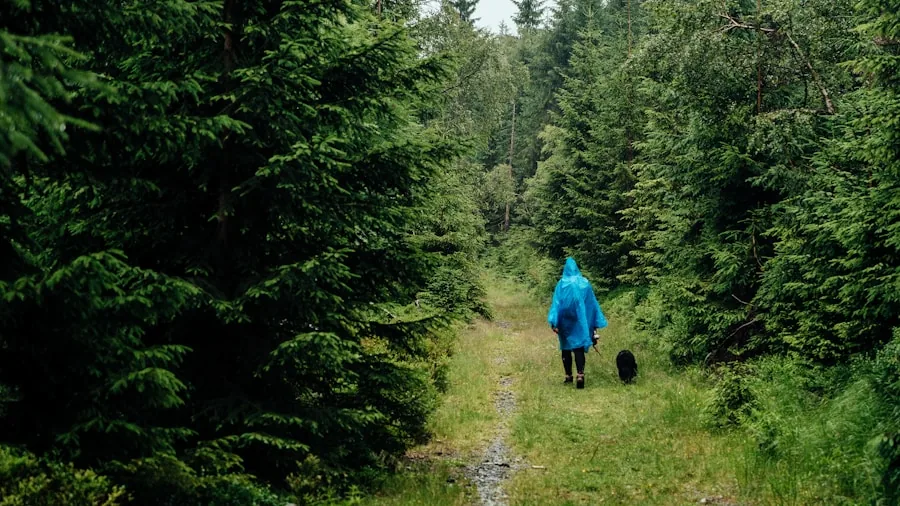 The %product_count% Best Hiking Pants for Women 4 Woman hiker on trail during light rain shower in misty forest landscape