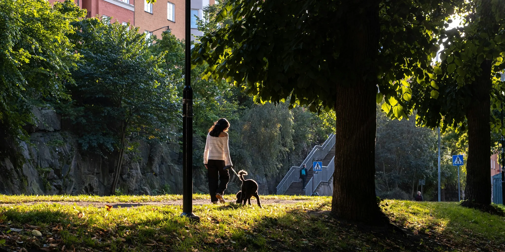 Woman pushing dog stroller through sunny park with small dog inside