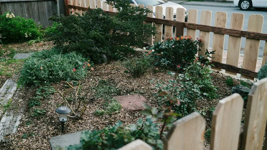 September Perennial Division: What Gardeners Should Know 3 woman spreading mulch around new garden plants