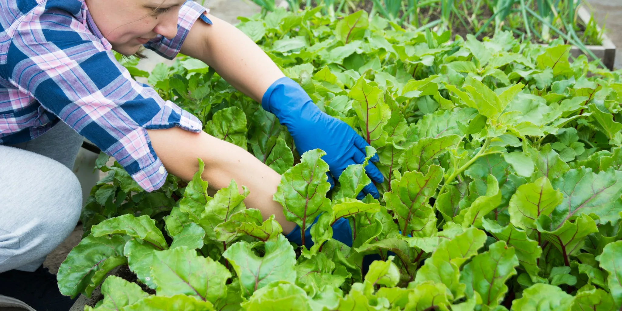 Netflix Star Greta Lee Says Plant Gardening Is a Critical Survival Skill