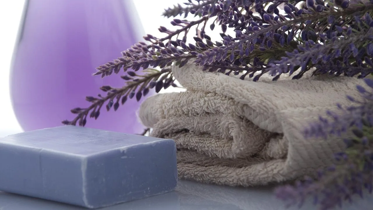 The Best Bath Towels for Every Budget and Bathroom Style