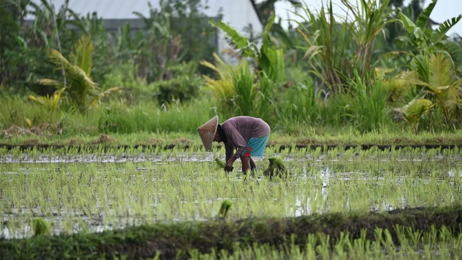 Indonesia's Social Forestry Program Expands Coffee Production While Protecting Forests 2 women farming group livestock Indonesia
