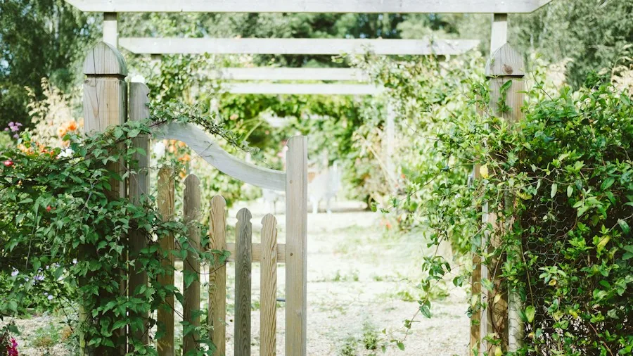 7 Tips to Design a Garden Entrance That Welcomes Visitors 2 wooden garden arch gateway