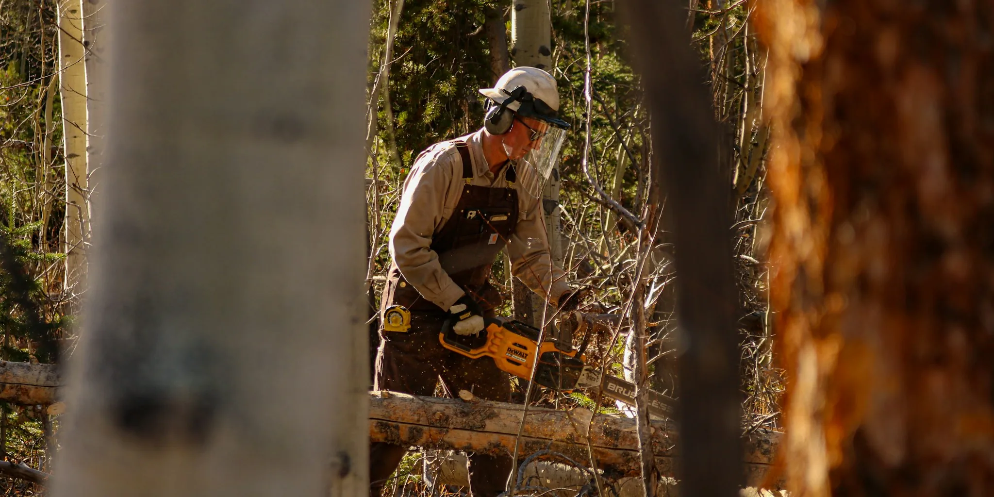 The 15 Best Chainsaws