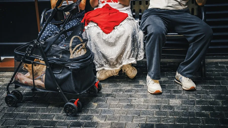 Young child sleeping peacefully in stroller during family travel