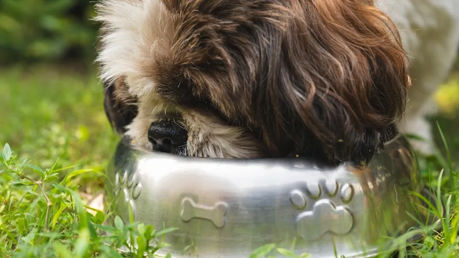 Young puppy eating nutritious food from bowl, depicting quality pet nutrition and feeding